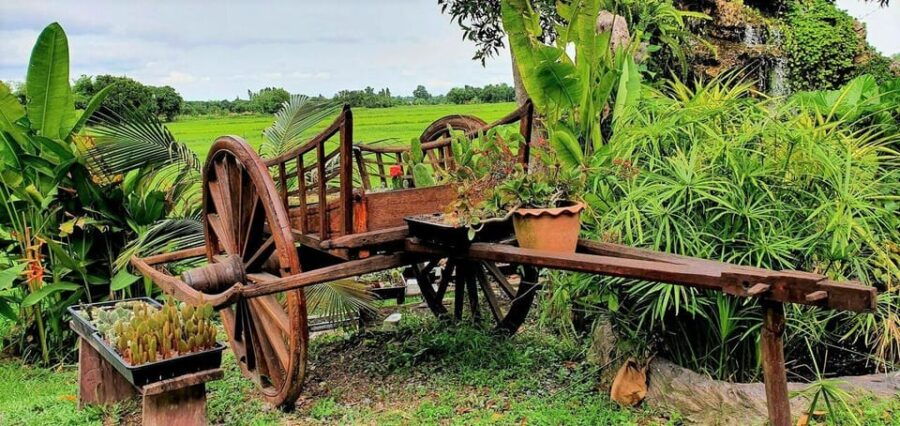 Cultural Immersion: Thai Cooking, Rice Farming, Eco Printing