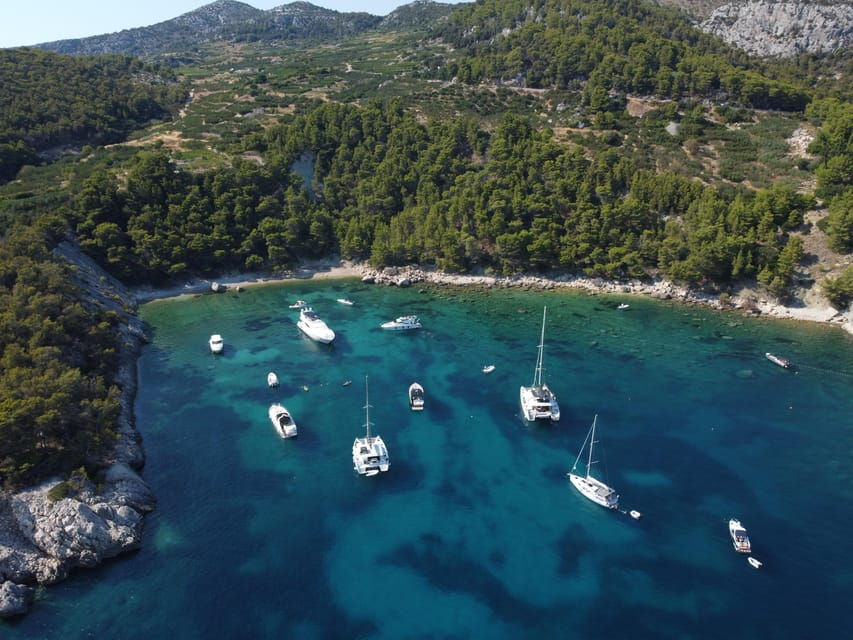 Customizable Luxury Speedboat Tours