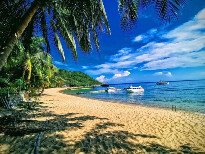 Da Nang: Cham Islands With Snorkeling and Scenic Highlights