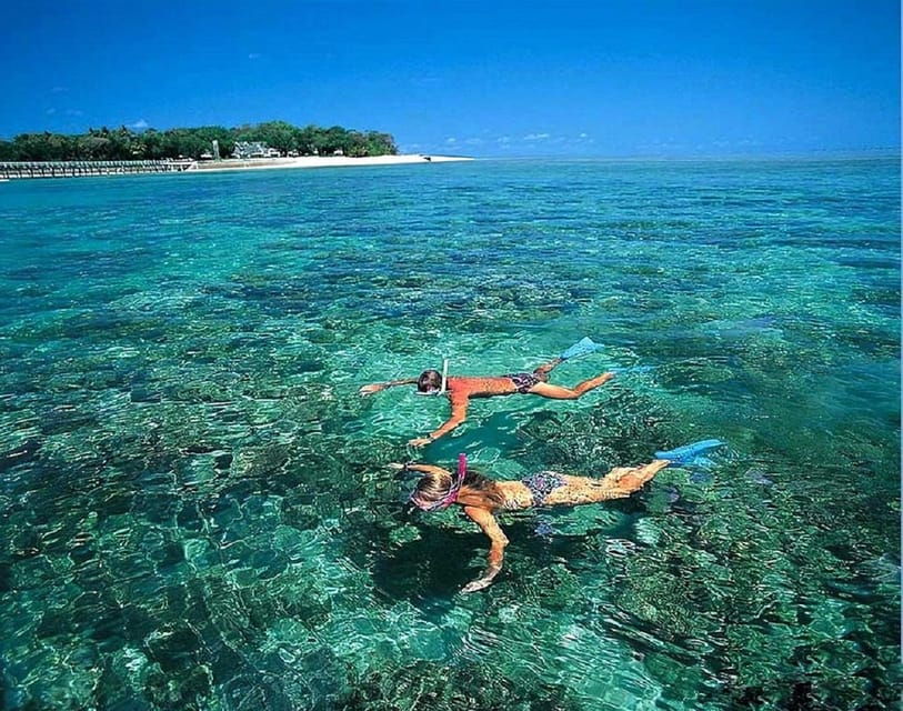Da Nang: Daiy Cham Islands Snorkeling Tour With Lunch
