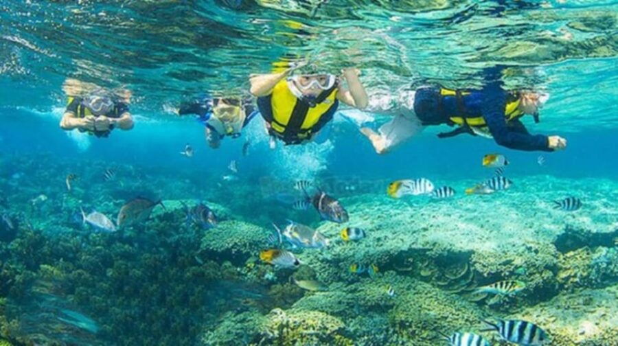 Da Nang/Hoi An: Cham Islands Snorkeling Trip by Speedboat