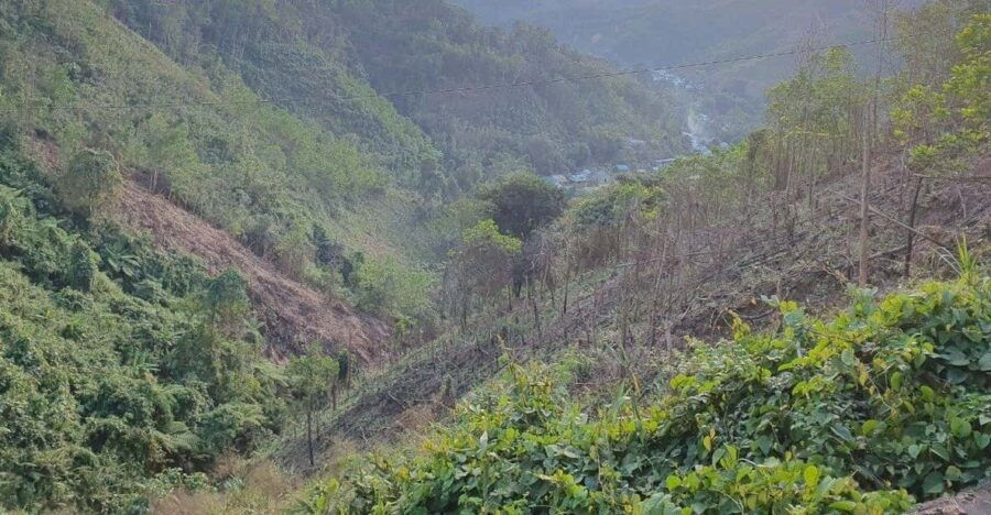 Da Nang/Hoi An Motorbike Day Tour: Explore via Hai Van Pass