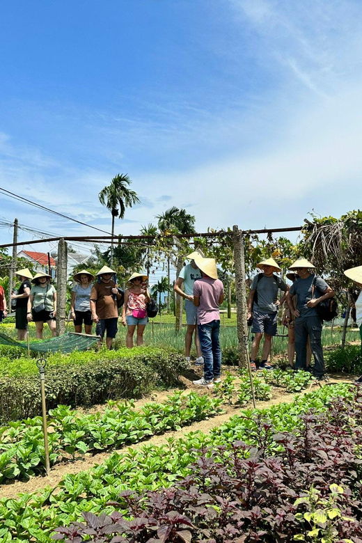 Danang/Hoi An: Vegetable Farming, Basket Boat, Cooking Class