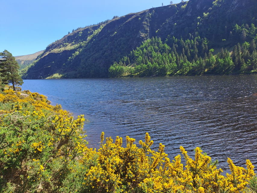 Day Car Trip Explore Amazing County Wicklow , Dublin-Wicklow