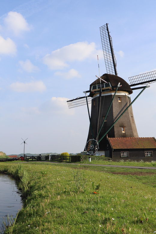 Delft and Volendam: Cheese, Clogs & Windmills (Small Group)