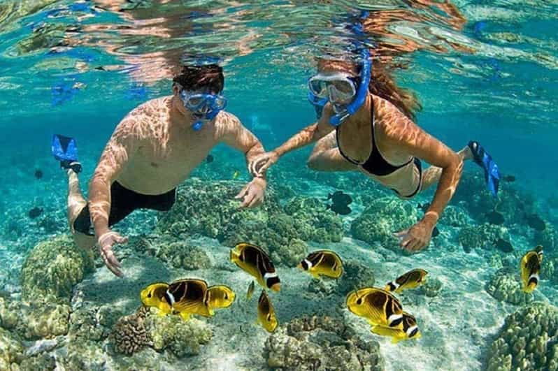 Deluxe Ocean Tour Snorkeling & BBQ & Mud Bath - Tour Overview and Pricing