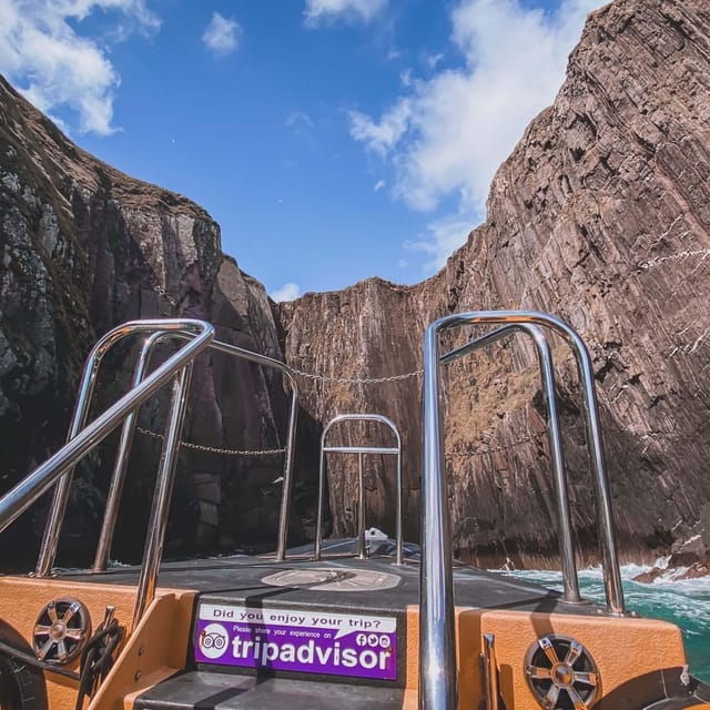 Dingle: Sea Safari by RIB Boat