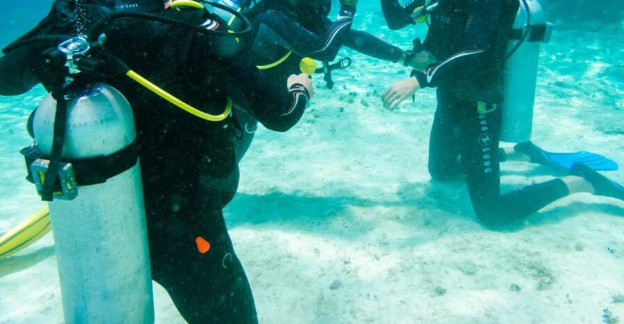Discover Scuba Diving in Cozumel 2 Tanks