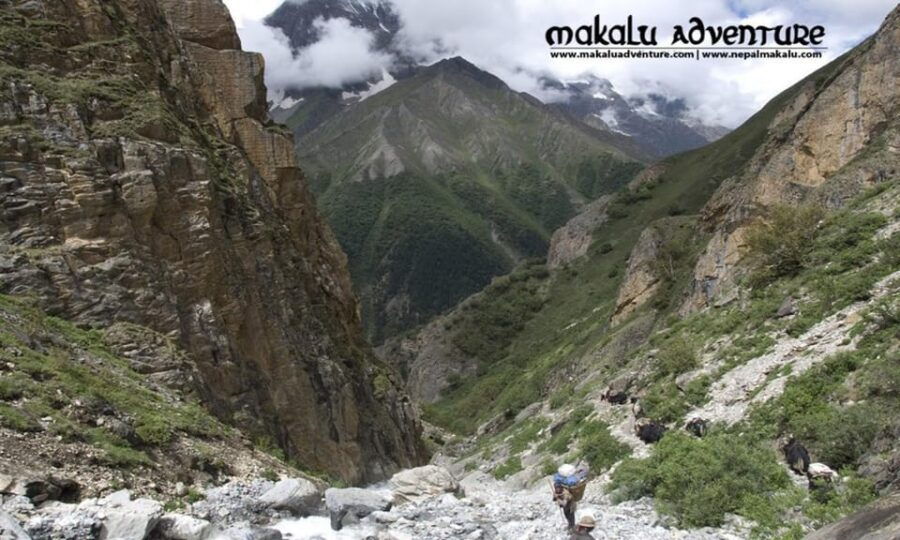 Dolpo Trek: Taking in Local Traditions and Customs - Overview of Dolpo Trek