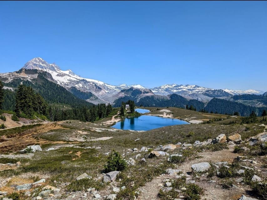 Elfin Lakes/ Garibaldi Park/Hiking Day Trip - Tour Overview and Pricing