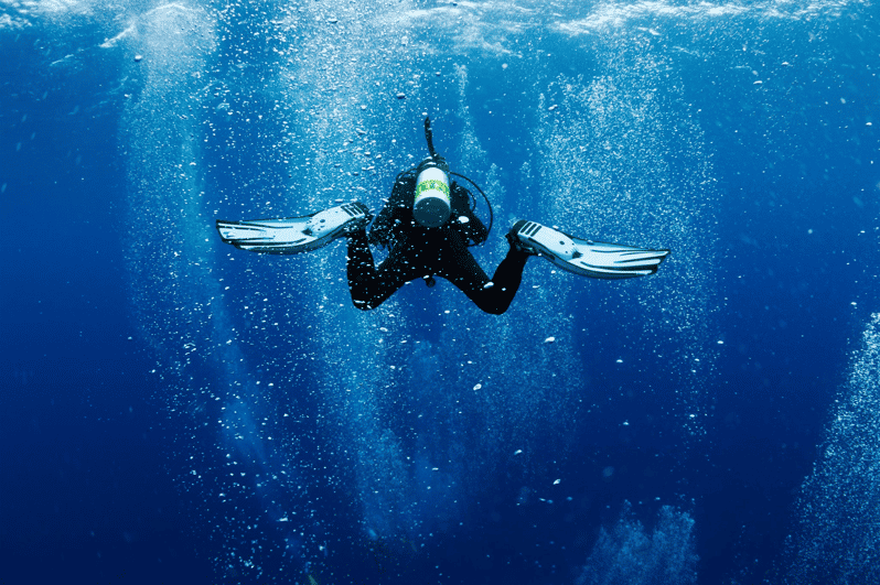 Ensenada: Boat Diving Adventure to Exclusive Sites
