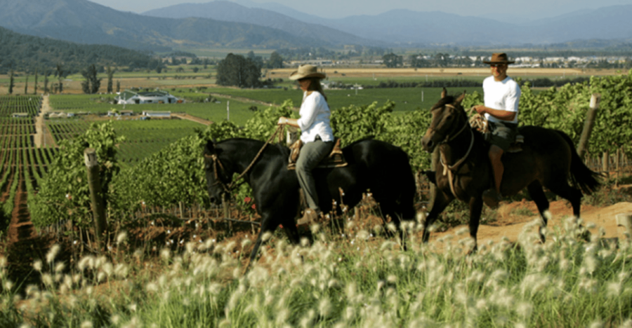 Ensenada: Horseback Riding at the Vineyards - Activity Overview