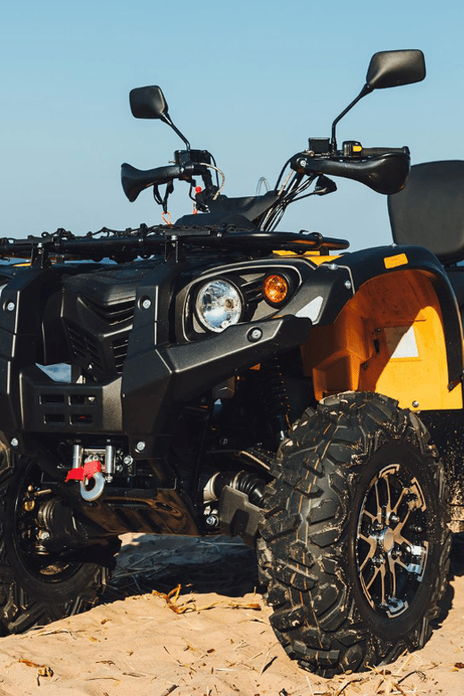 Ensenada: The Bufadora Blowhole ATV Excursion - Tour Overview and Pricing