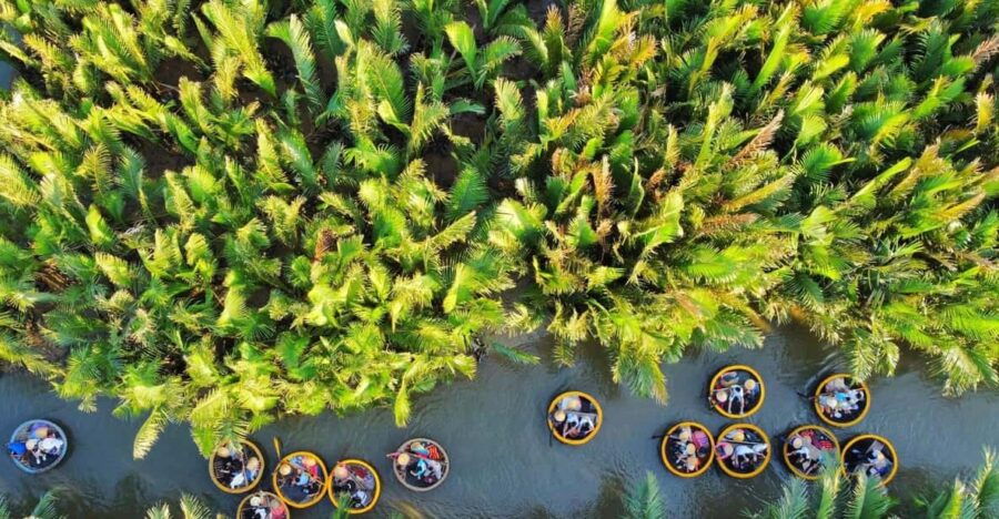 Explore Coconut Village Forest - Cam Thanh With Tour Guide - Overview of Coconut Village