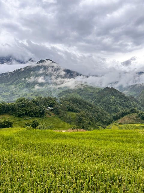 Explore Sapa by Trekkingadventures, Mountain,Rice Fields
