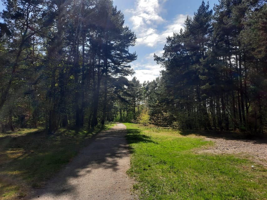Explore Sobieszewo Island: Nature Walk & Wildlife Tour - Tour Overview