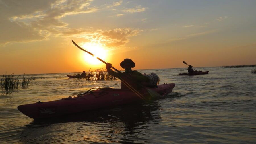 Exploring the Magic of the Danube Delta Through Photo Lenses - Overview of the Danube Delta