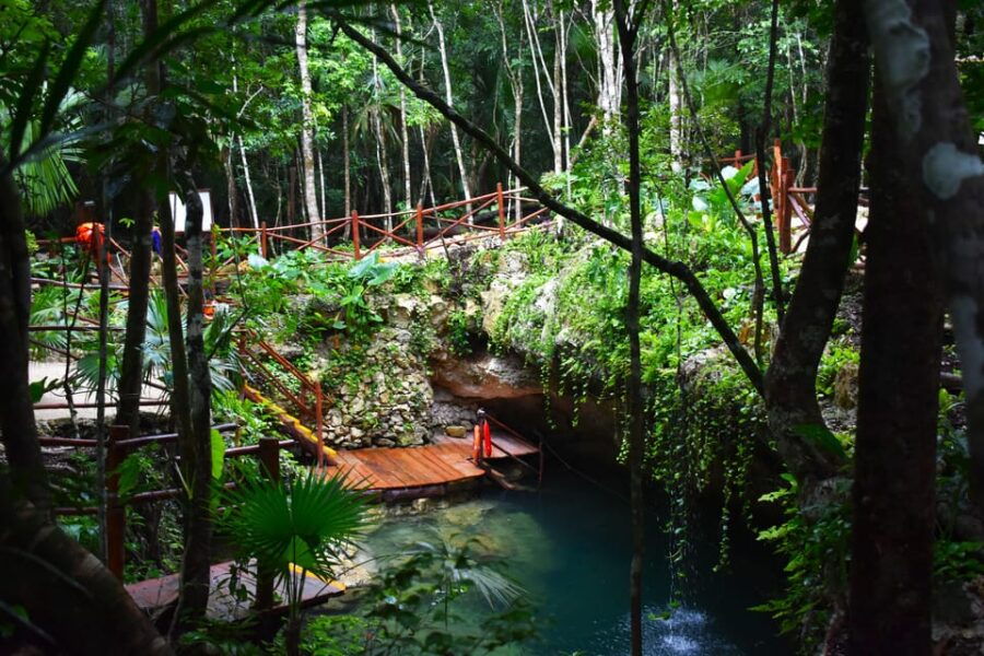 Extreme Jungle Cenotes and Snorkeling at Puerto Morelos Reef - Tour Overview
