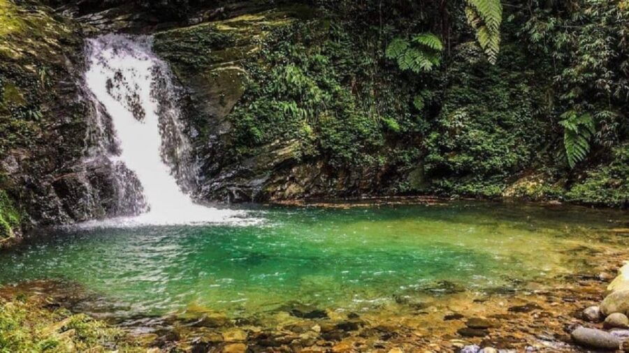 FFOM HUE : TOUR TREKKING HUE - BACH MA NATIONAL PARK DAILY - Tour Overview and Pricing