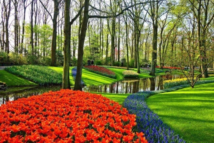 From Amsterdam: Private Tour to the Keukenhof and Madurodam - Exploring the Keukenhof Flower Park