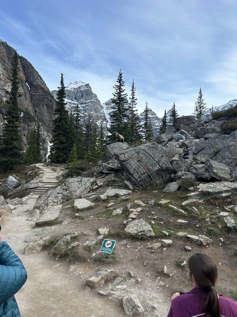 From Banff/Canmore: Shuttle to Moraine Lake and Lake Louise