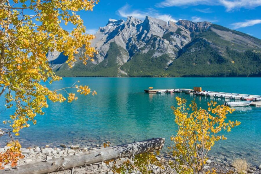 From Banff: Lake Louise, Moraine Lake, Peyto Lake 1-Day Tour - Tour Overview and Pricing