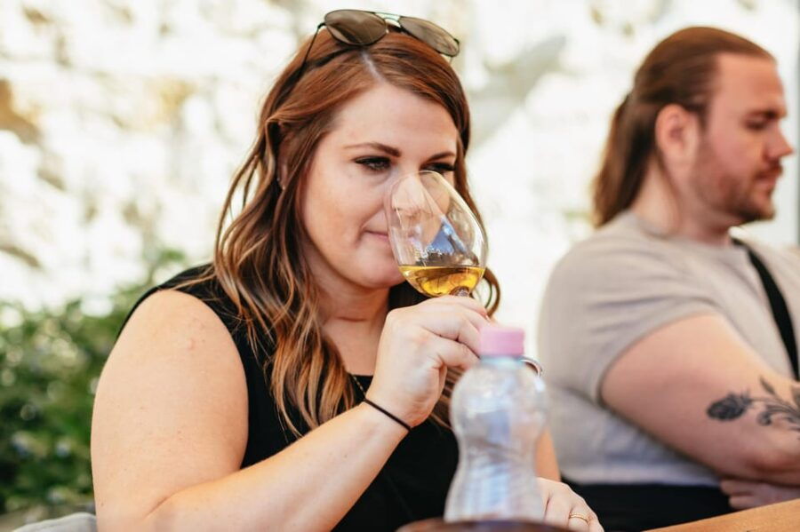 From Budapest: Etyek Wine Tasting Tour With 3-Course Meal