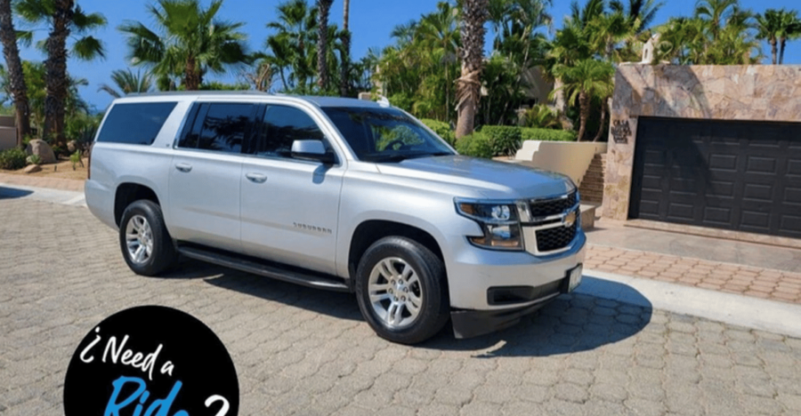 From Cabo San Lucas: La Paz Roundtrip