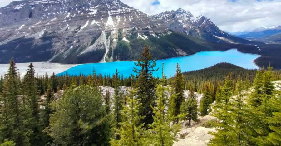 From Calgary: Lake Louise Moraine Lake Peyto Lake 1-Day Tour - Tour Overview