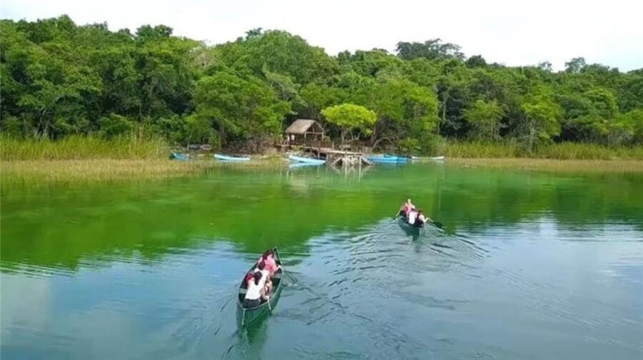 From Cancun: Coba Ruins and Punta Laguna Day Trip