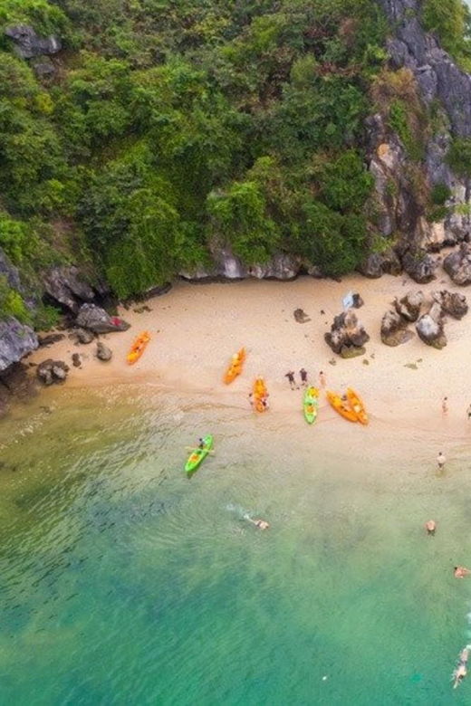 From Cat Ba Island: Full Day Boat Tour Lan Ha & Halong Bay - Tour Overview and Pricing