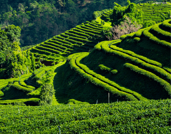 From Chiang Mai: Customize Your Northern Thailand Itinerary