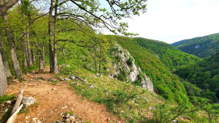 From Cluj: Gorges of Crisul Repede River