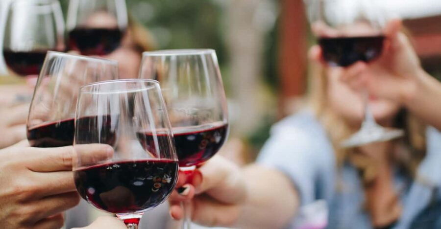 From Dubrovnik: Private Wine Tasting Trip, Pelješac