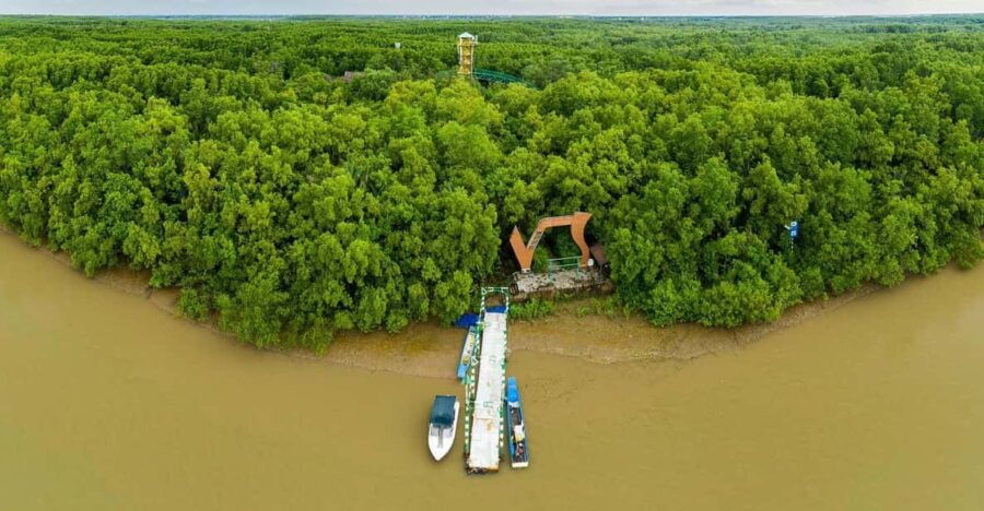 From Ho Chi Minh: Can Gio Mangrove Forest – Monkey Island
