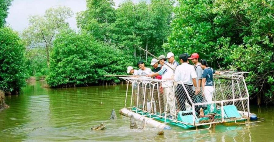 From Ho Chi Minh City: Group Tour Can Gio Mangrove Forest