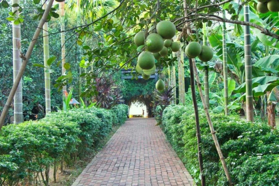 From Hue: 1 Day COOKING CLASS in THUY BIEU VILLAGE