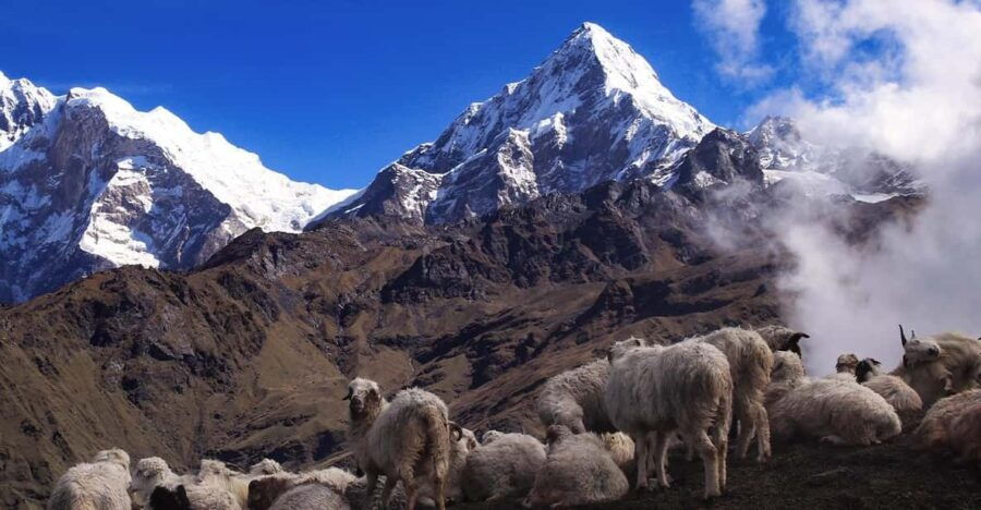 From Kathmandu: 12 Day Khopra Hill With Khair Lake Trek - Trek Overview