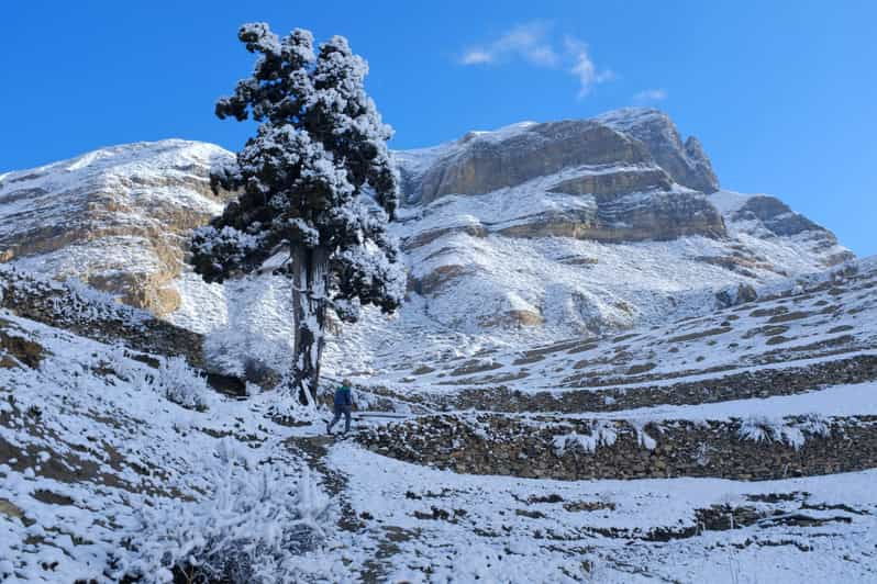 From Kathmandu: 14 Day Annapurna Circuit Trek From Kathmandu