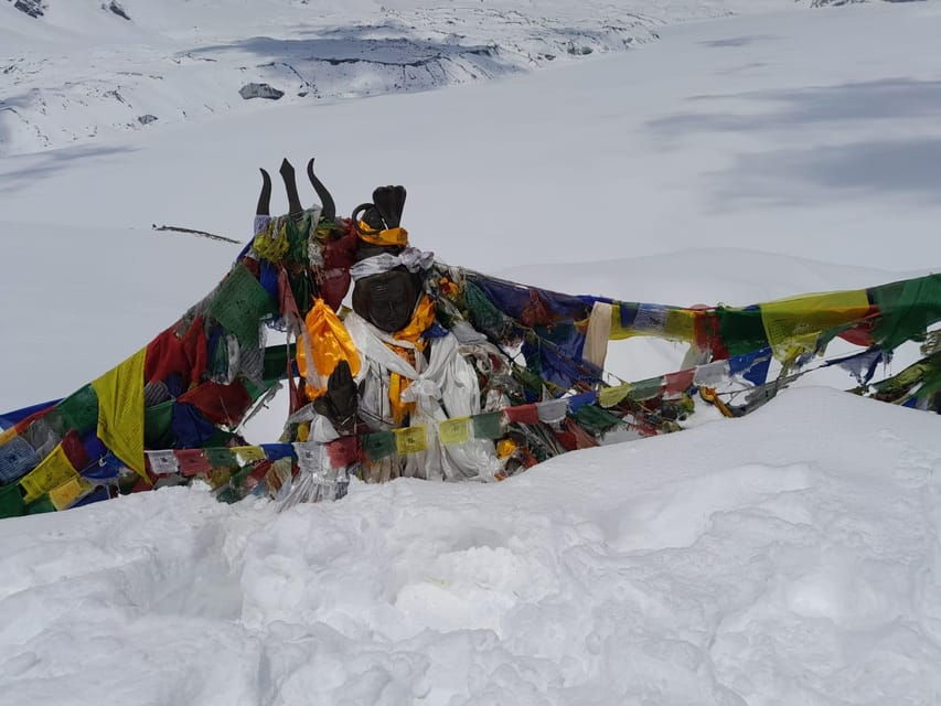 From Kathmandu: 15 Day Annapurna Base Camp Yoga & Trekking - Overview of the Experience