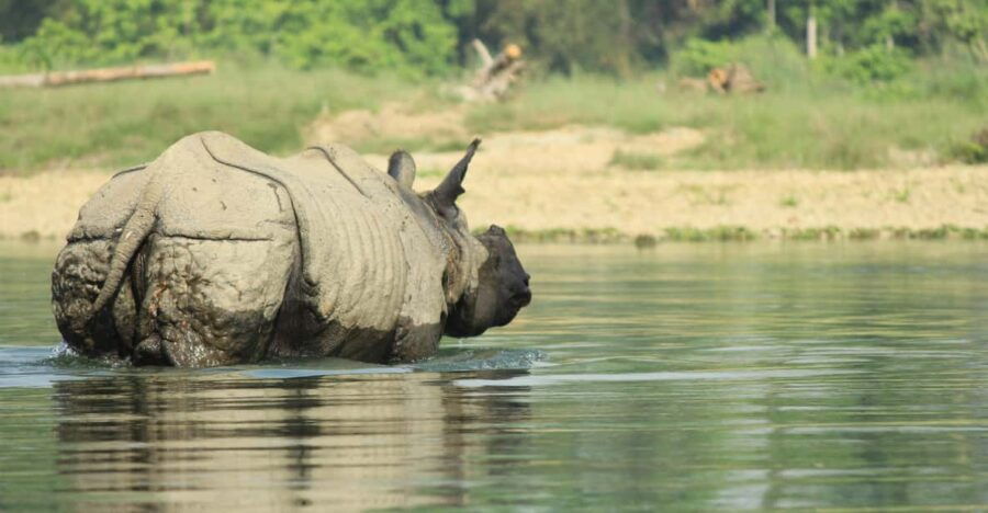 From Kathmandu: 4-Day Chitwan National Park Safari