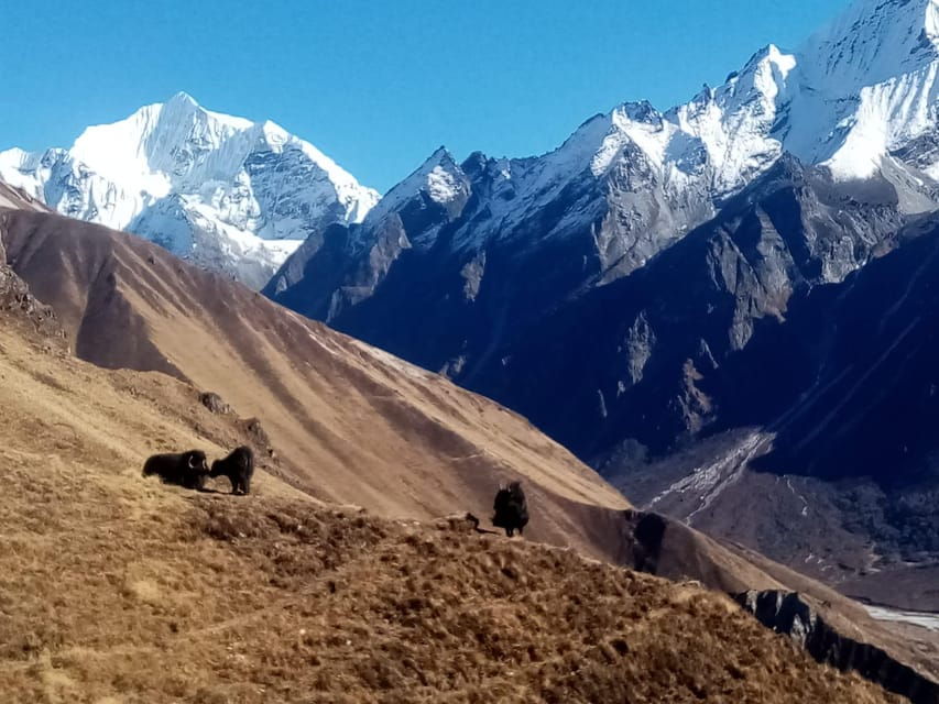 From Kathmandu: 7-Day Langtang Valley Trek