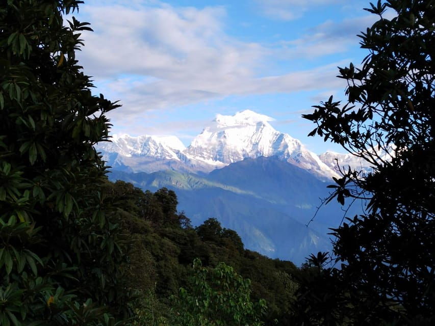 From Kathmandu: 7 Day Poon Hill Trek With Local Guides - Trek Overview and Highlights