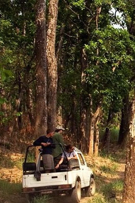 From Kathmandu or Pokhara: 1 N 2D Day Chitwan Wildlife Tour - Tour Overview and Pricing