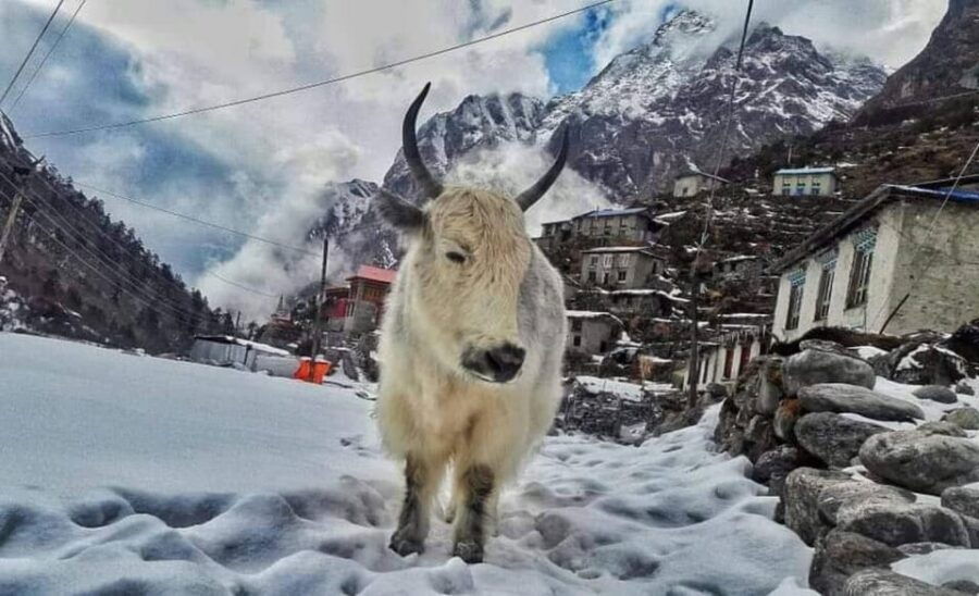 From Kathmandu: Tsho Rolpa Lake Trek Rolwaling Valley Trek - Trek Overview