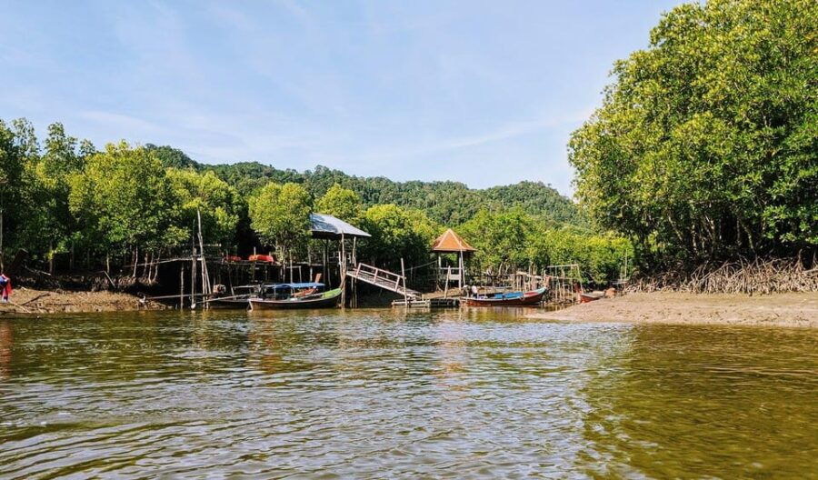 From Ko Lanta: Mangrove Eco-Excursion by Longtail Boat - Tour Overview and Pricing