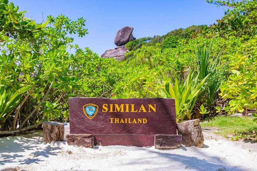 From Krabi: Similan Islands Snorkeling Trip by Speedboat - Trip Overview and Pricing
