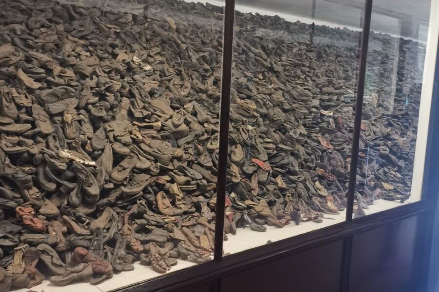 From Krakow: Auschwitz-Birkenau Camp Complex Guided Day Trip - Tour Overview