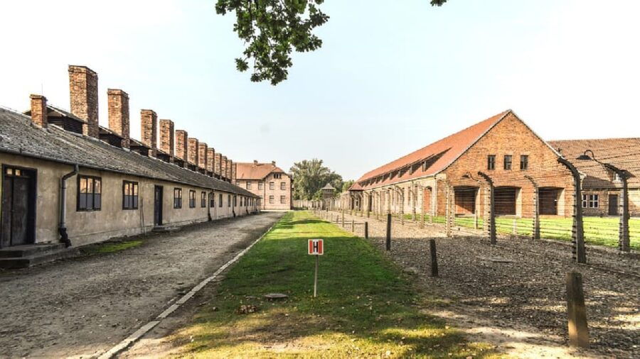 From Krakow: Wieliczka Salt Mine & Auschwitz Guided Trip - Tour Overview and Pricing