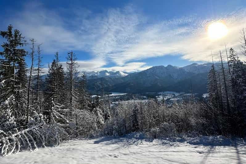 From Krakow: Zakopane Day Trip With Funicular & Food Tasting